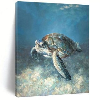 Sea Canvas Realistic Turtle Detailed Wall Art ZMS1V